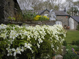 Neuadd Farm Cottages Gardens