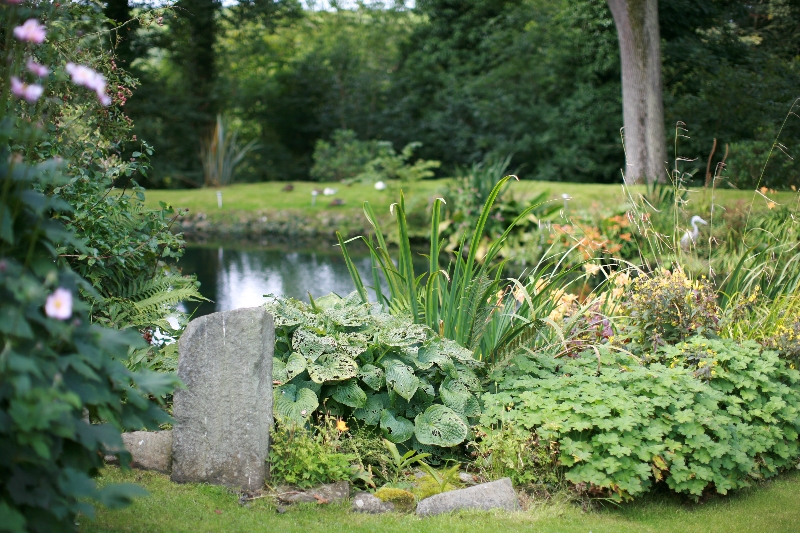 beautiful-pond-view