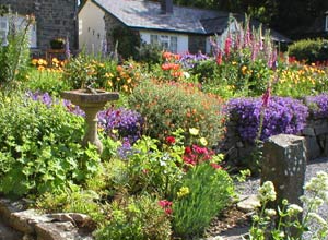 Neuadd Farm Cottages Garden