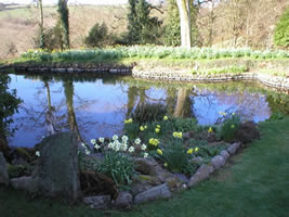 Neuadd Farm Cottages Woodland