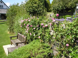 Neuadd Farm Cottages Gardens