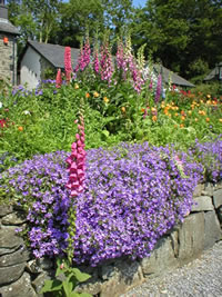 Neuadd Farm Cottages Gardens