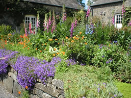 Neuadd Farm Cottages Gardens