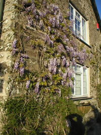 Neuadd Farm Cottages Gardens