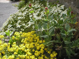 Neuadd Farm Cottages Gardens