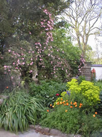 Neuadd Farm Cottages Garden