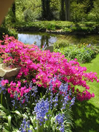 Neuadd Farm Cottages Garden