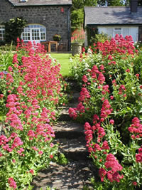 Neuadd Farm Cottages Garden