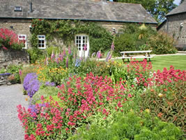 Neuadd Farm Cottages Garden