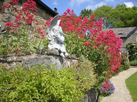 Neuadd Farm Cottages Garden