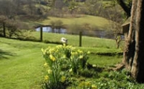 Neuadd Farm Cottages Garden