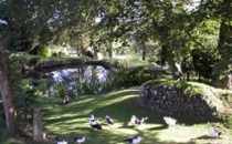 Neuadd Farm Cottages Duck Pond