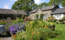 Neuadd Farm Cottages Gardens