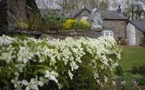 Neuadd Farm Cottages Gardens