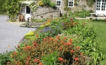 Neuadd Farm Cottages Garden