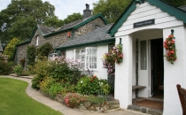 pretty-cottage-garden