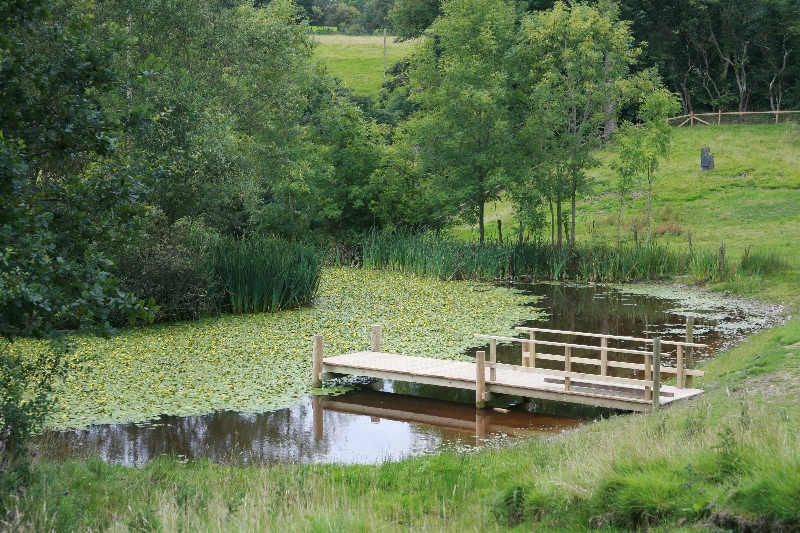 Fishing lake with water lilies