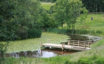 Fishing lake with water lilies