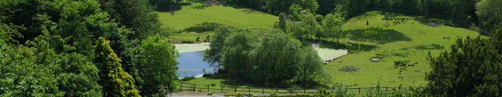 Fishing Lake at Neuadd Farm Holiday Cottages