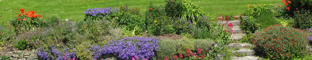 Award winning gardens at Neuadd Farm Holiday Cottages